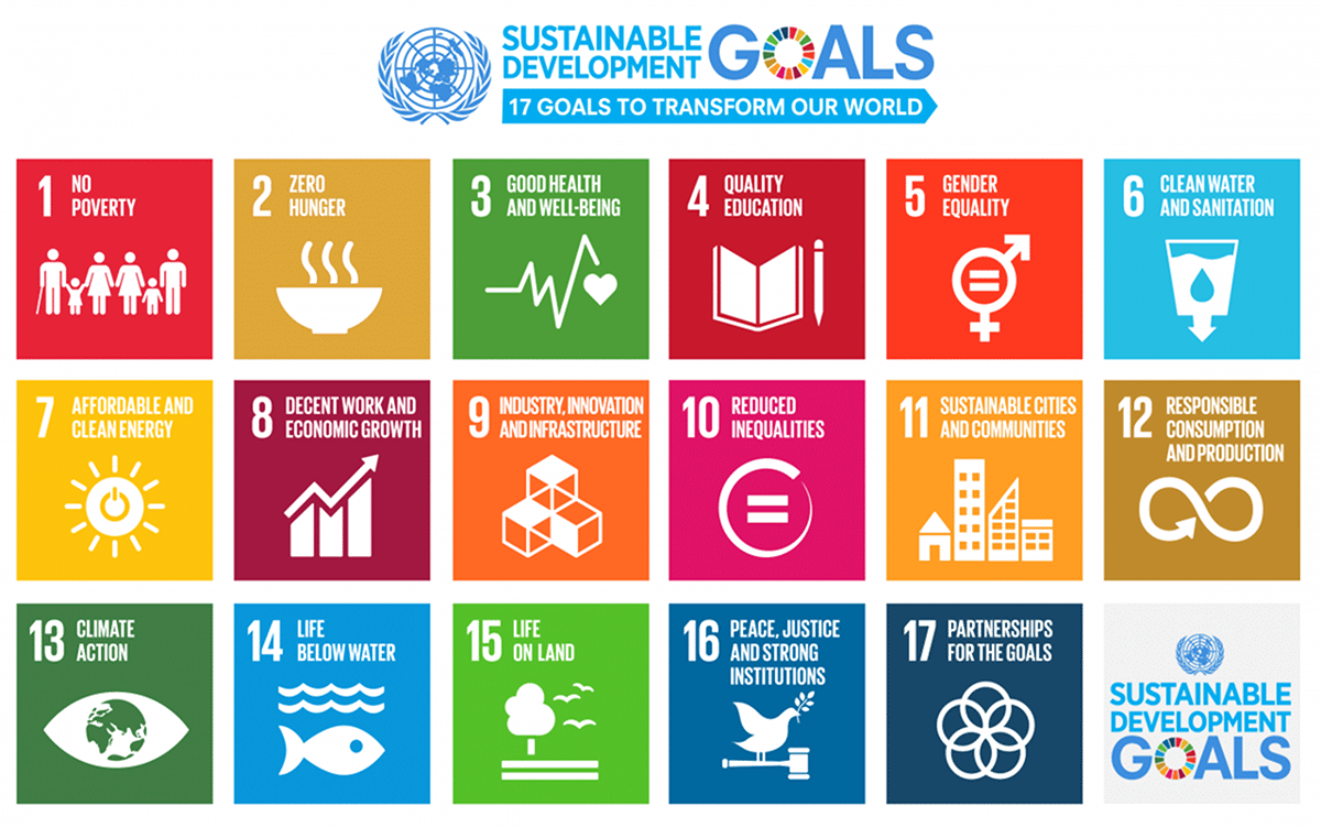 THE 17 GOALS - Sustainable Development Goals