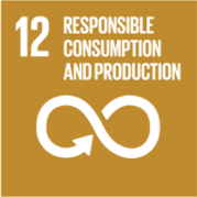 2: Responsible Consumption and Production