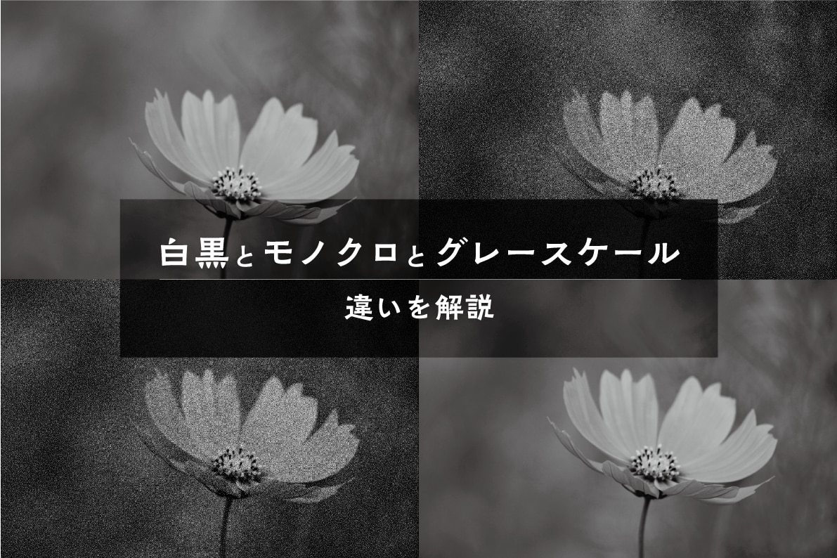 お役立ち情報 モノクロ 白黒 グレースケール 株式会社mbeジャパン