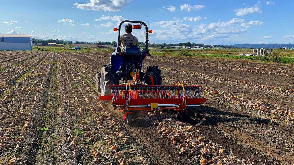 ASHORAGRI onion digger