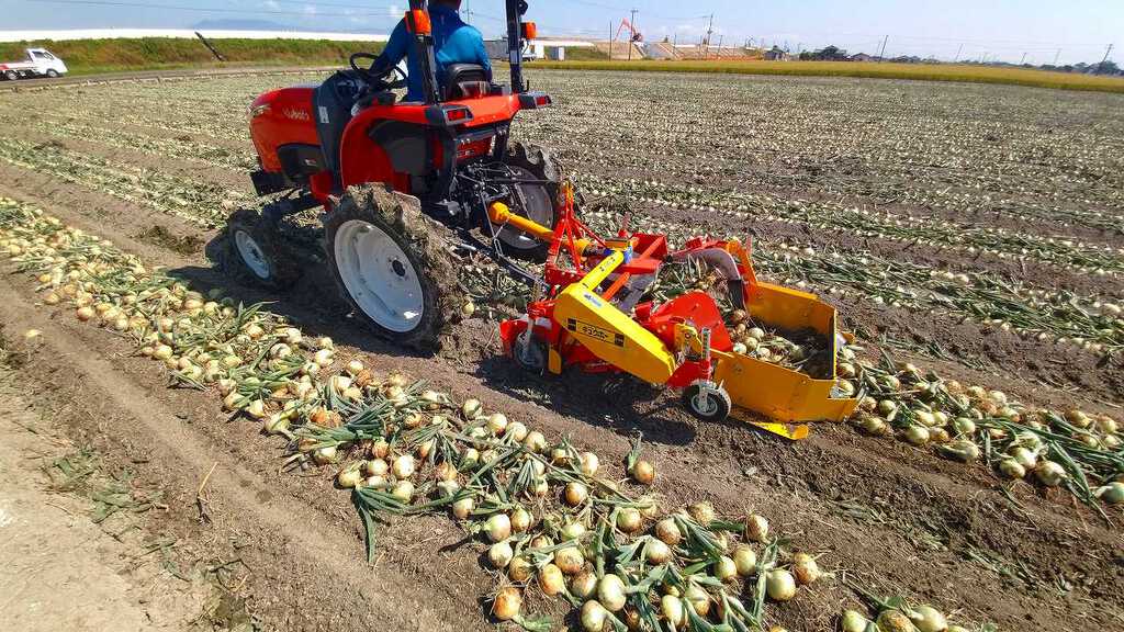 ASHORAGRI onion digger