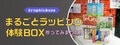 next-article-image