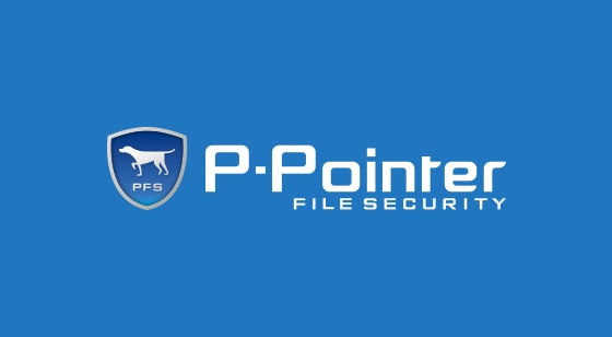 P-Pointer FILE SECURITY