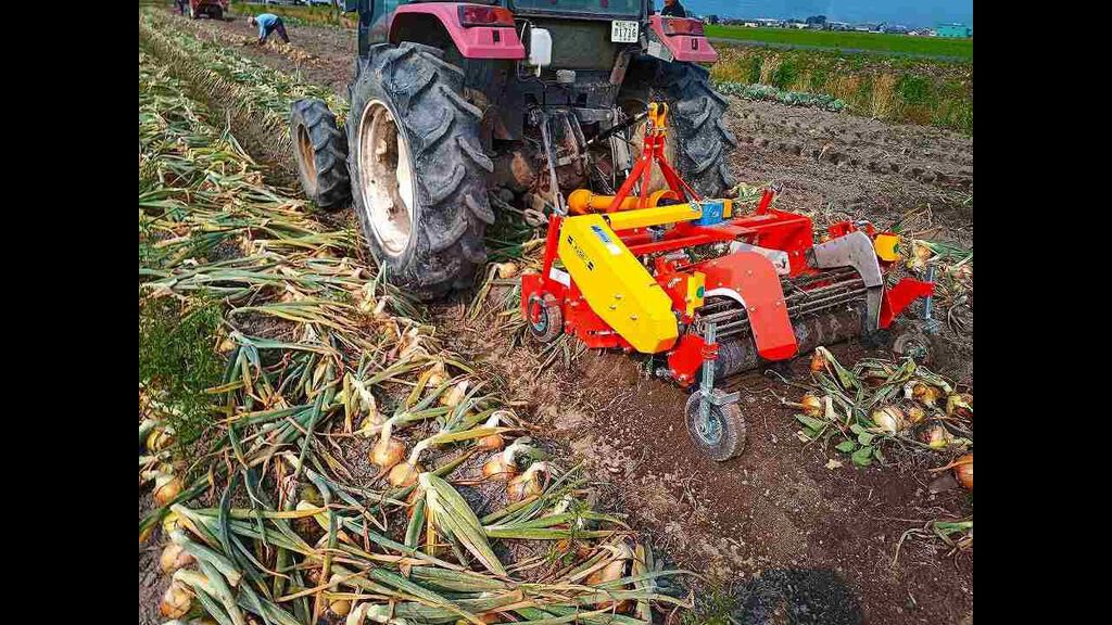 ASHORAGRI onion digger