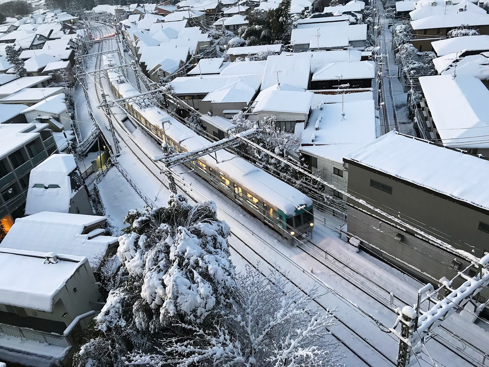 東京に4年ぶりの大雪警報 株式会社レスキューナウ