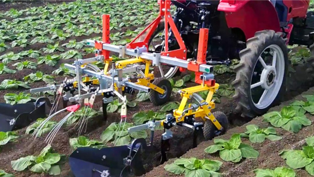 キャベツ・ブロッコリー・大根】手取り・機械除草なら株式会社 キャベツ・ブロッコリー・大根】手取り・機械除草なら株式会社