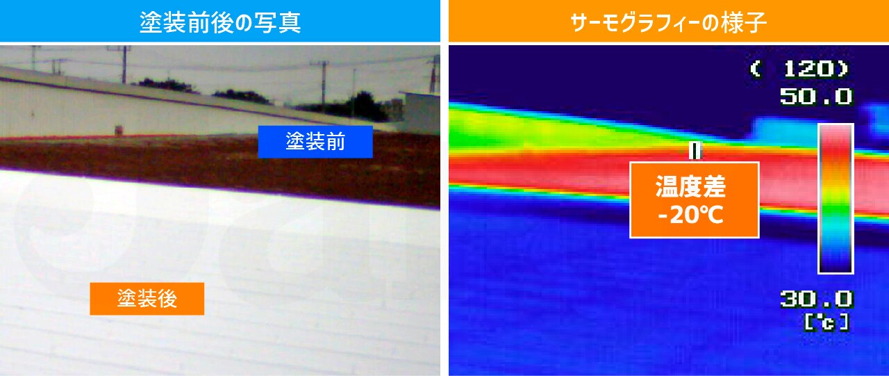 ミラクール　サーモグラフィー