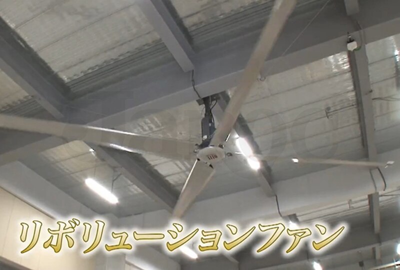 REVOLUTIONFAN