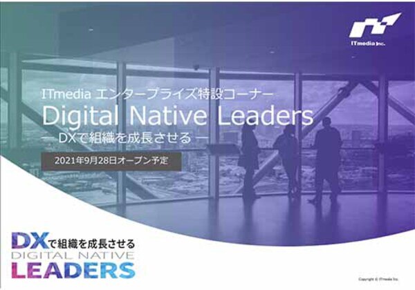 Digital Native Leaders