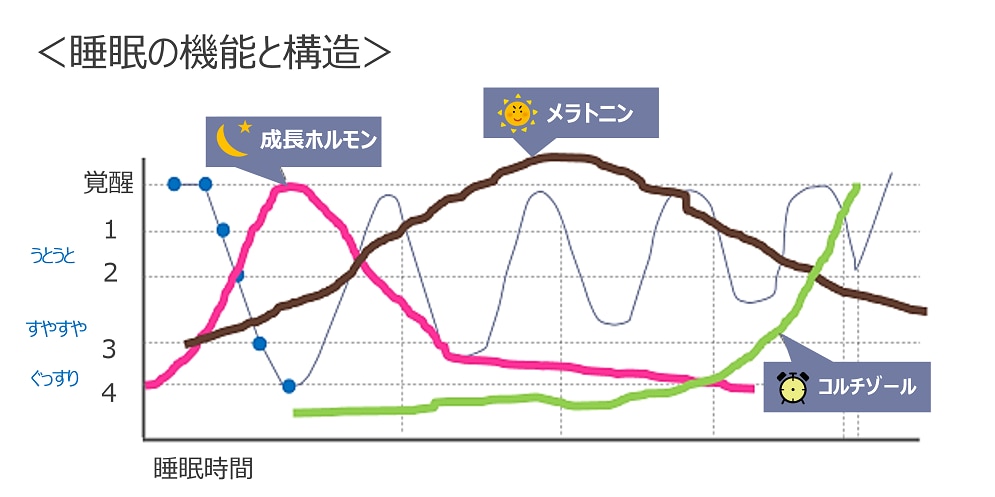 肺がんは睡眠に影響を及ぼしますか?
