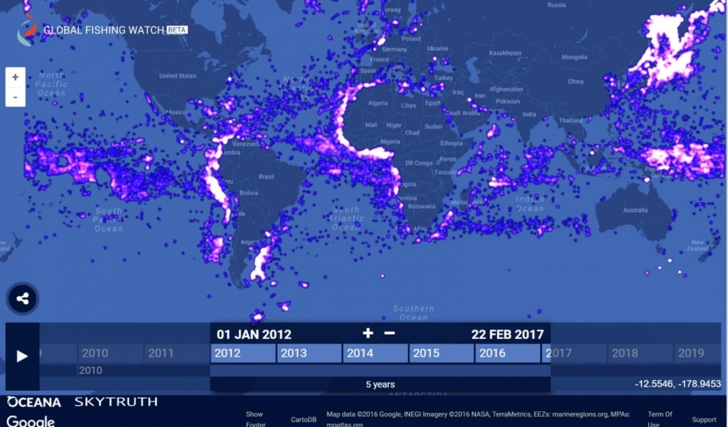 GoogleもIUU漁業対策に！Global Fishing Watchとは？！