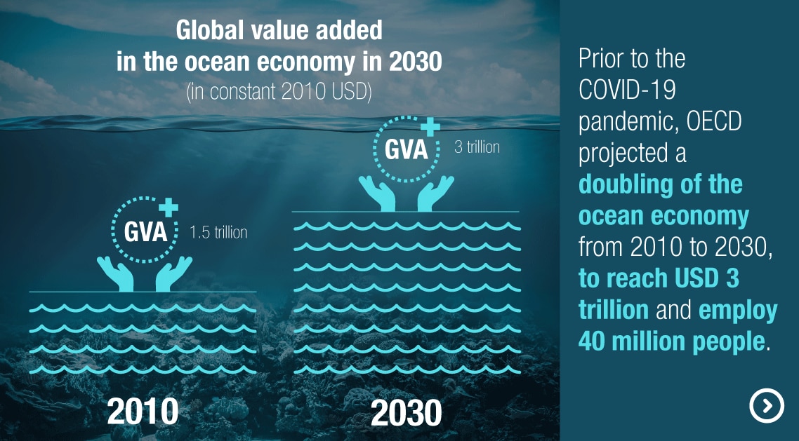 「海の自然資本と投資家の動きを知る」-連続ウェビナー「海の自然資本とESG投融資」 第1回報告-