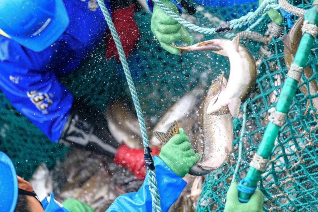 施行から1年 — 改正漁業法の意義を再考する