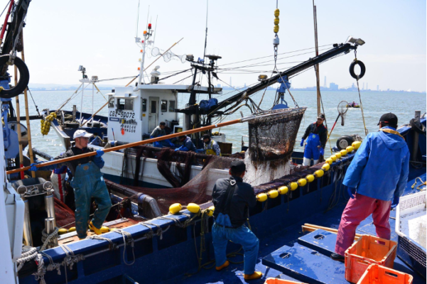 改正漁業法にどう対応するか　持続可能な漁業を目指す FIPに注目（1/2）