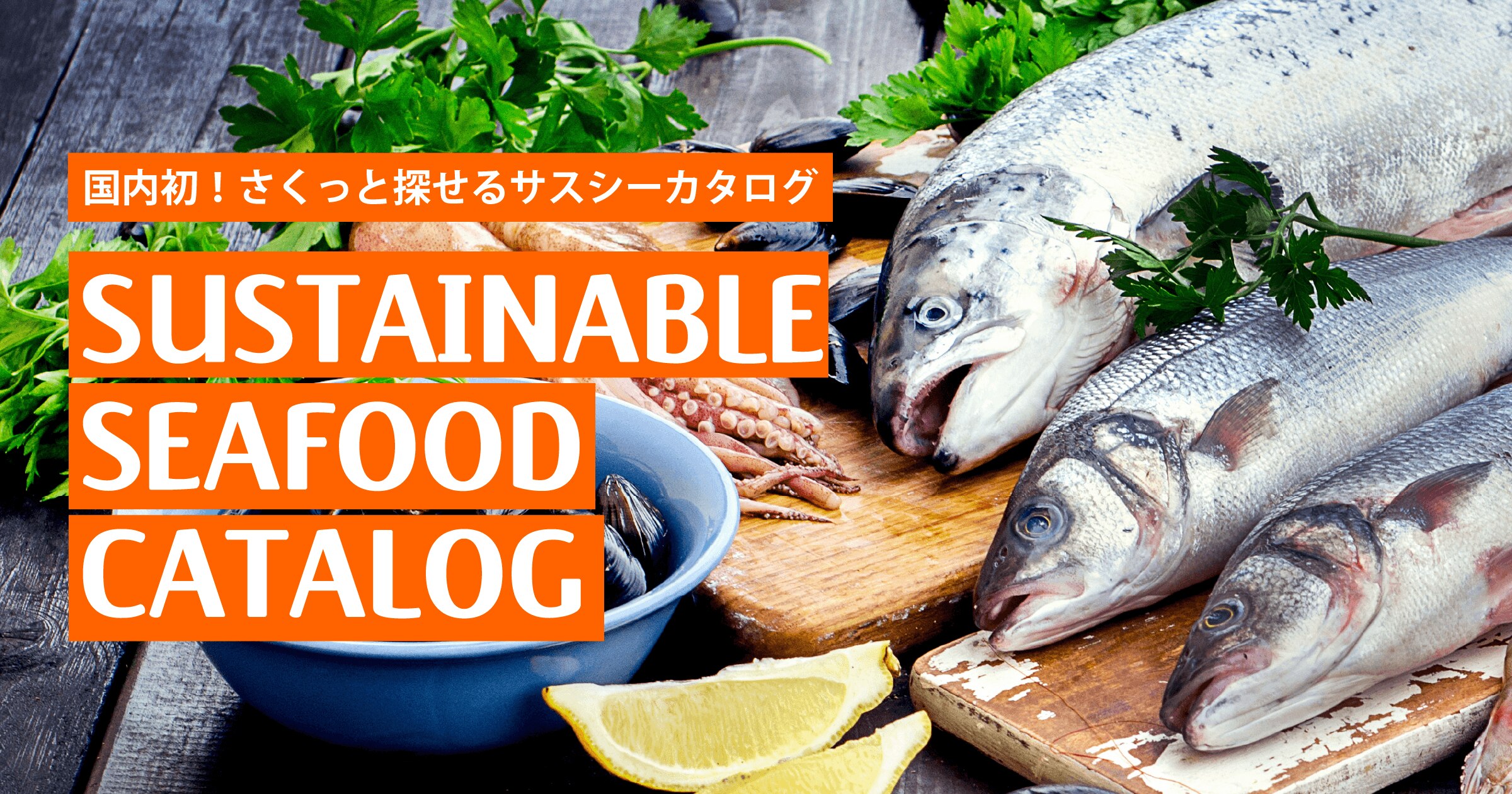 日本初！サステナブル・シーフード専門 BtoBサイト「Sustainable Seafood Catalog」オープン