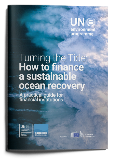 「持続可能な水産業への投融資を実践する」 -連続ウェビナー「海の自然資本とESG投融資」 第3回報告-