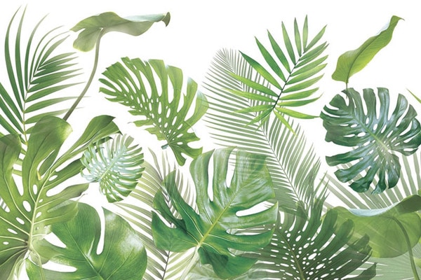 大きくてリアルな植物の柄