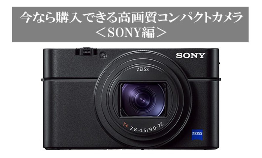 ブルー×レッド SONY ソニー ソフトキャリングケース LCJ-RXH ／SONY LCJ-RXH JAN末番012943 