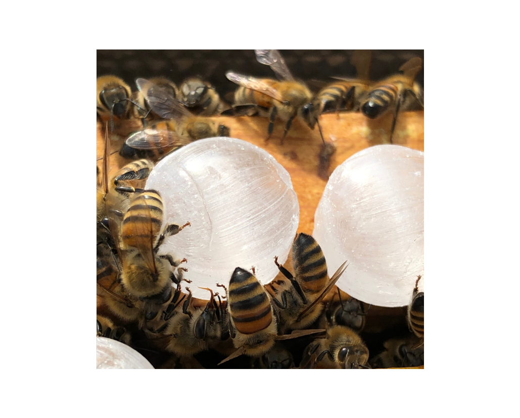 使い方(一覧)｜【アピ株式会社】ミツバチ課