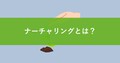 next-article-image