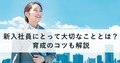 next-article-image