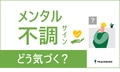 next-article-image