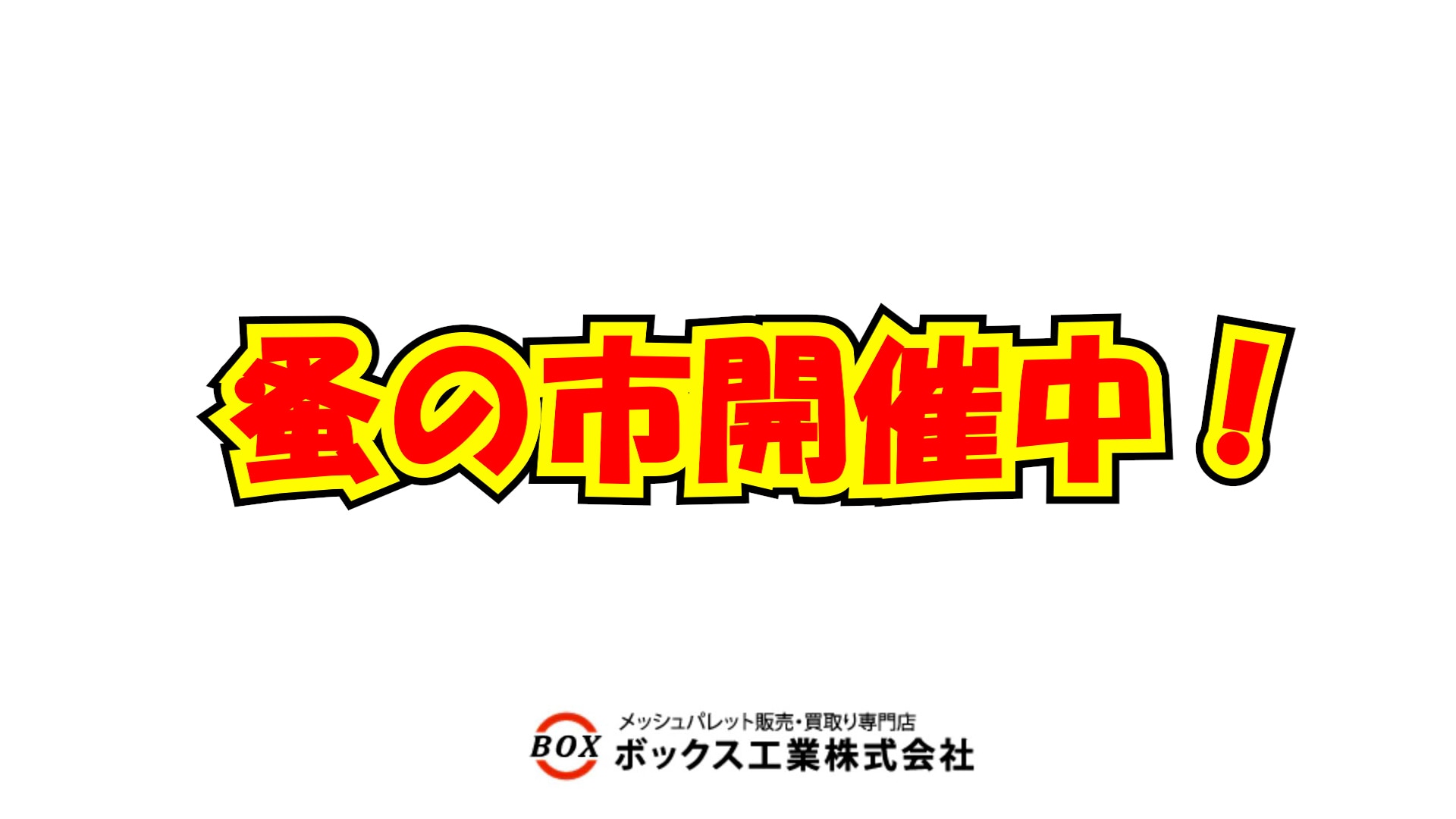 売り切りセール‼️CT パレット