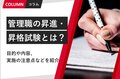 next-article-image