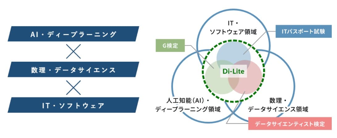Di-Liteのイメージ図
