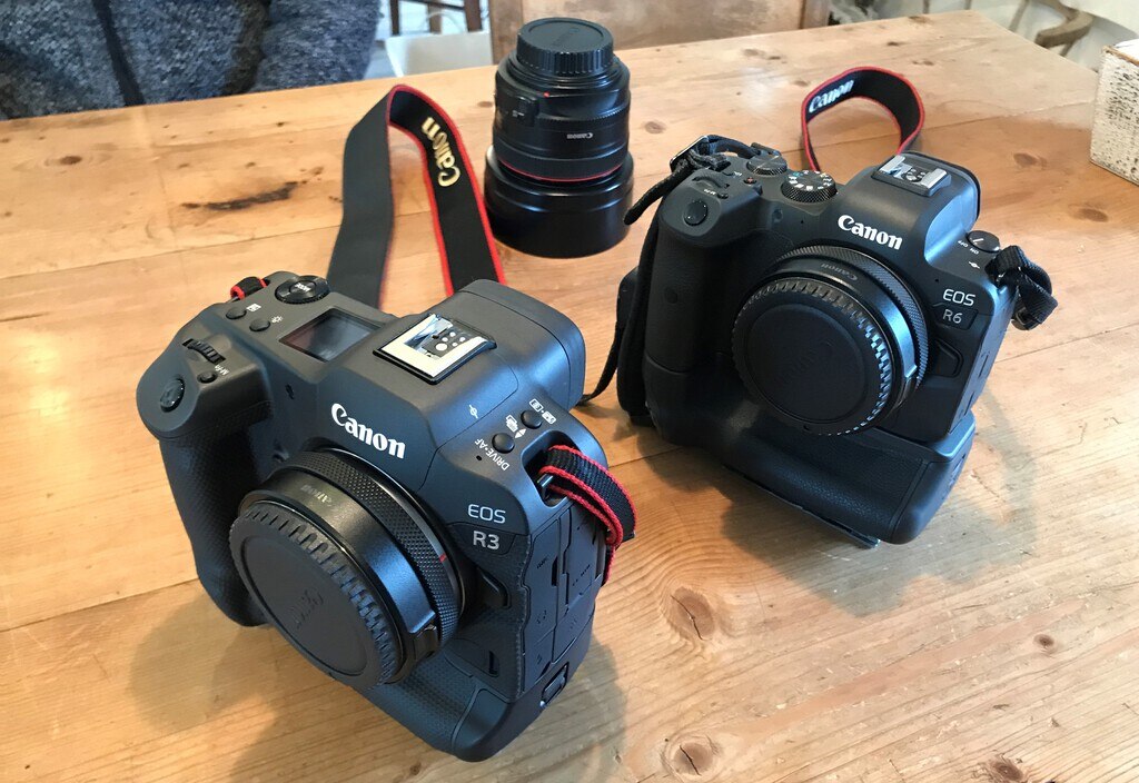 キヤノン EOS R6&R3」一眼からミラーレスへの移行「有限会社 キヤノン EOS R6&R3」一眼からミラーレスへの移行「有限会社