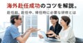prev-article-image