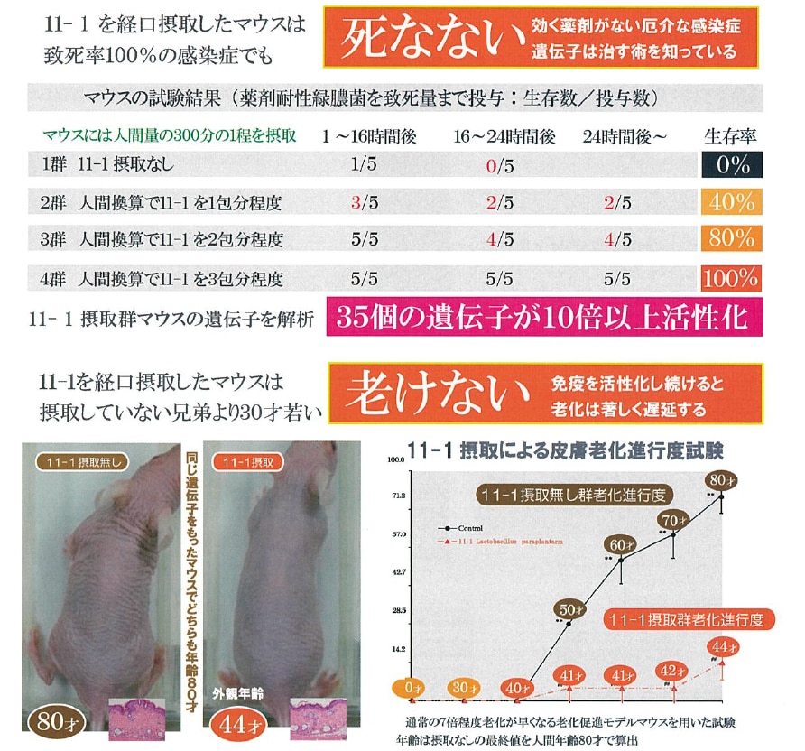 11-1 いちいちのいち 免疫活性化乳酸菌 - その他