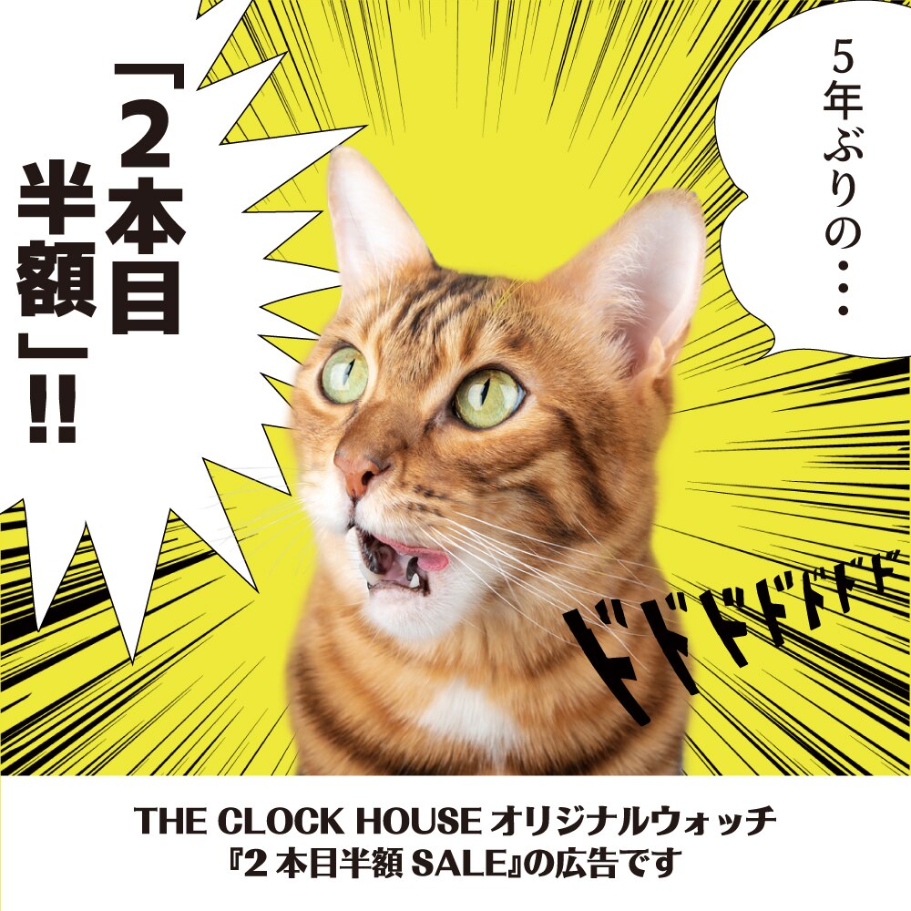 THE CLOCK HOUSE オリジナルソーラーウォッチ お買い上げ 2本目が半額