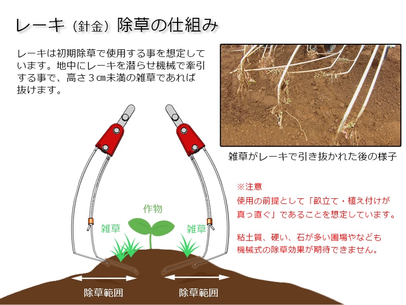 カルチオプション品】株式会社キュウホーのカルチのオプション カルチオプション品】株式会社キュウホーのカルチのオプション