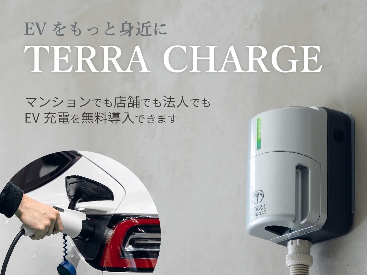 Terra Charge