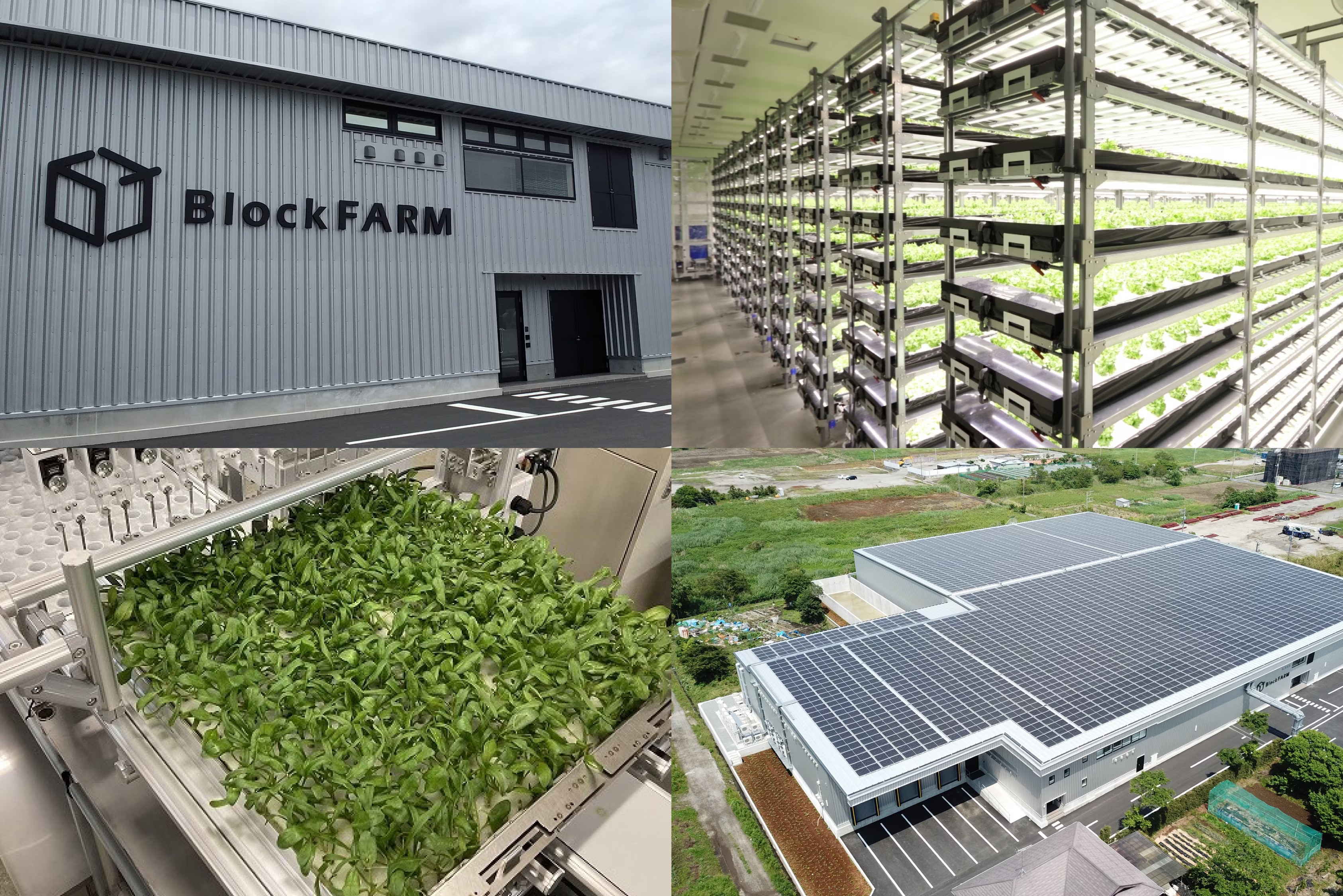 データドリブンで儲かる次世代型」へ。植物工場が革新するスマート農業