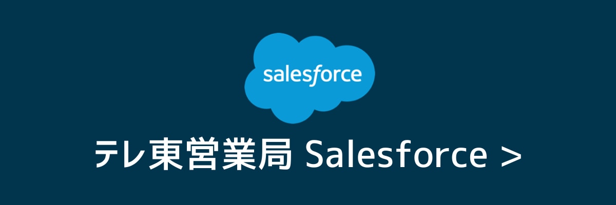 テレ東営業局 Salesforce