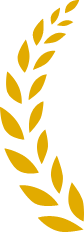 bg-img