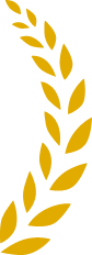bg-img