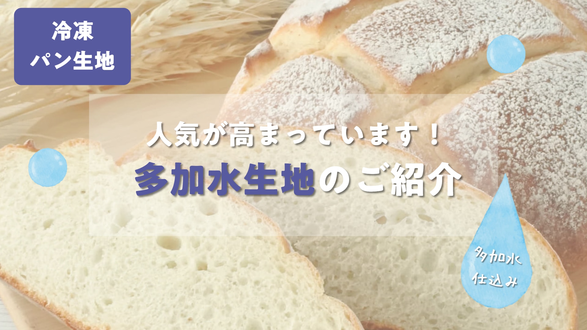 パン 多加水パンのご紹介 | 敷島製パン株式会社