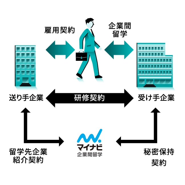 マイナビ企業間留学｜社外での経験が社員の成長を呼ぶ【マイナビ健康経営】