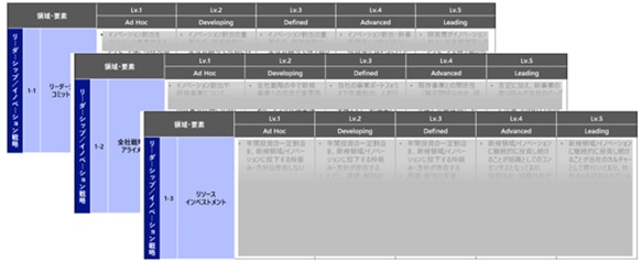 図2：診断項目ごとの成熟度5段階定義