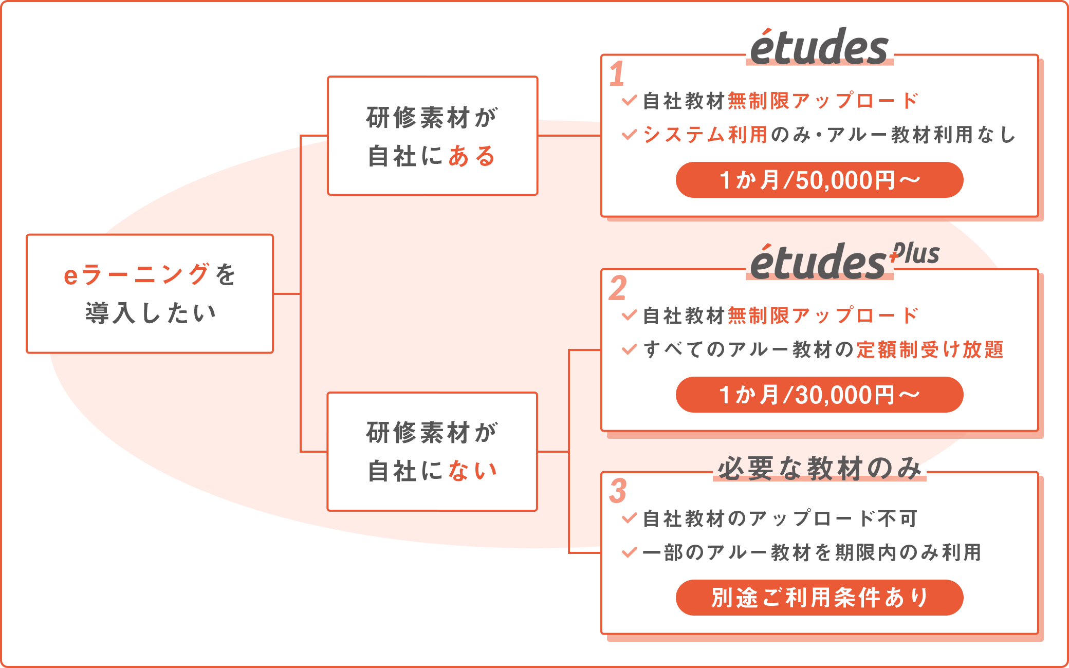 ETUDES エチュード 訳あり新品 ファイヤーパターン パーカー Mサイズ 