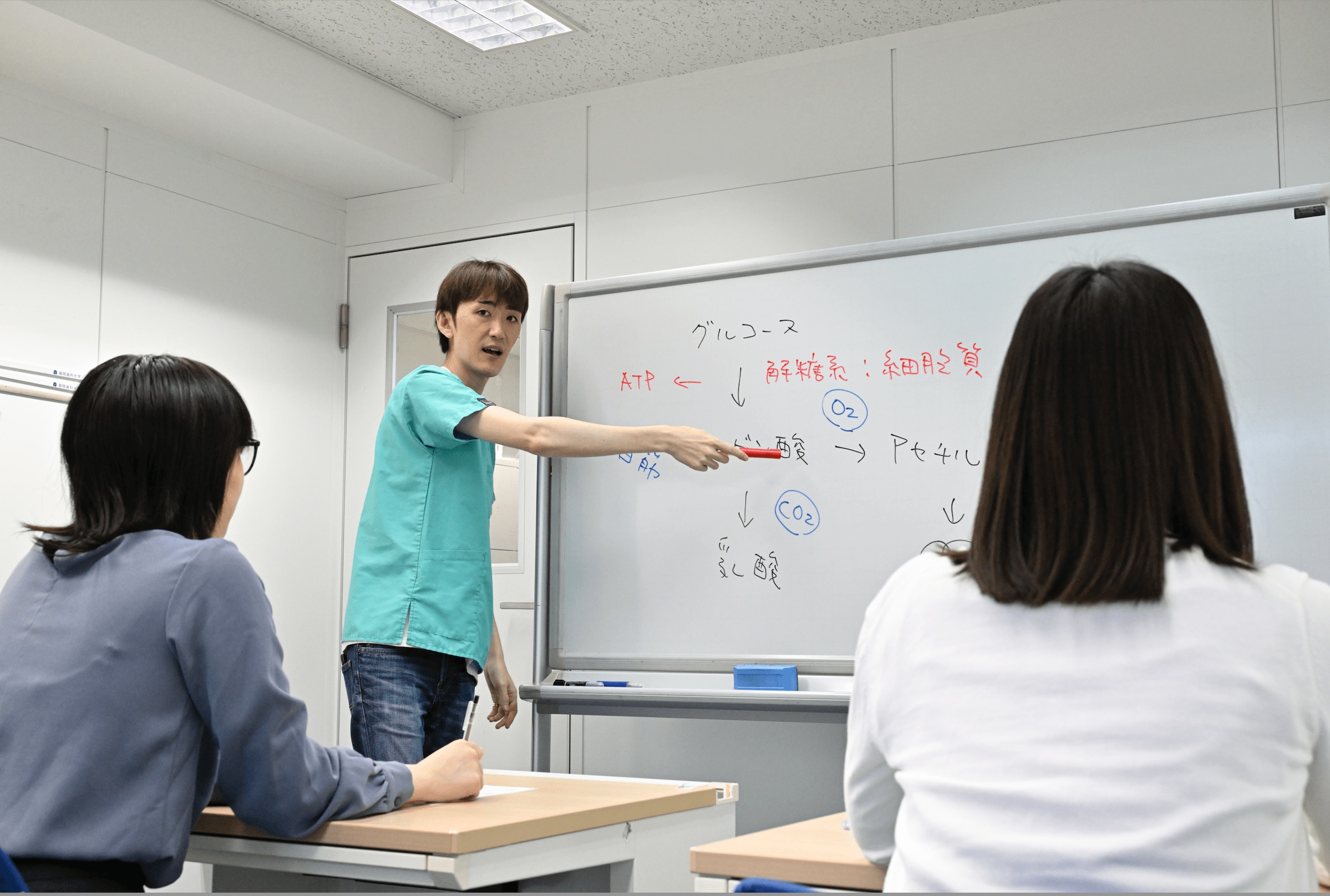 メルリックスデンタル 歯科医師国家試験対策2025 テキスト