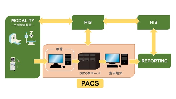 医療用画像管理システムpacsの解説