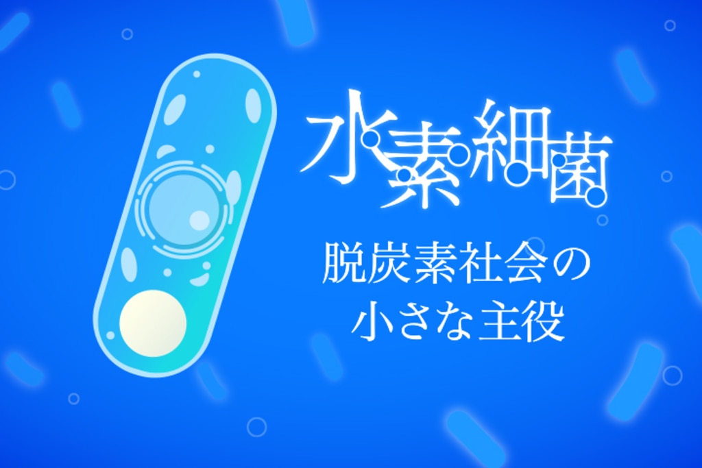地球環境対策 動きはじめた/化学工業日報社（単行本） 化学工業日報社 (@chemicaldailyad) / X