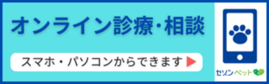 オンライン診療・相談