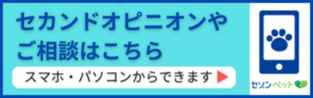 セカンドオピニオン、相談