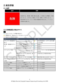 報告書サンプル