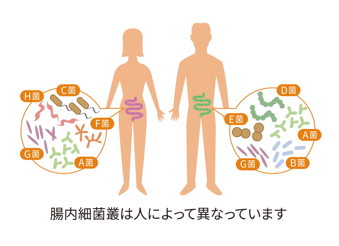 腸内細菌叢（腸内フローラ）｜腸内細菌叢検査SYMGRAM（シングラム）